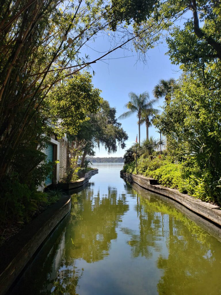 A still canal with palms and a lake view at the far end