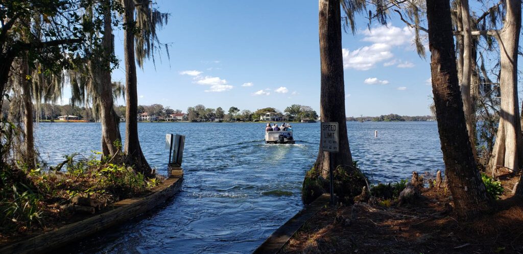 A tour boat crossing open water framed by cypress trunks