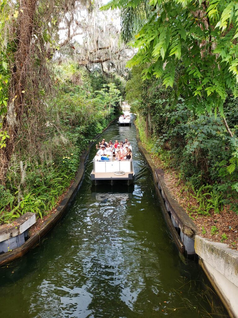 A pontoon boat in a narrow canal with moss overhead