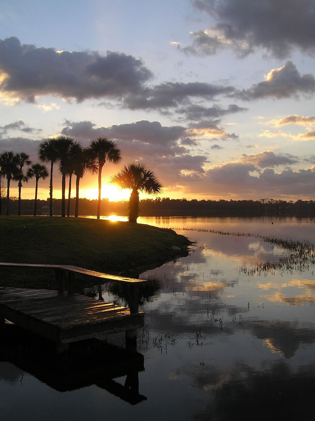 Sunrise over Lake Virginia with palms silhouetted against a pink sky